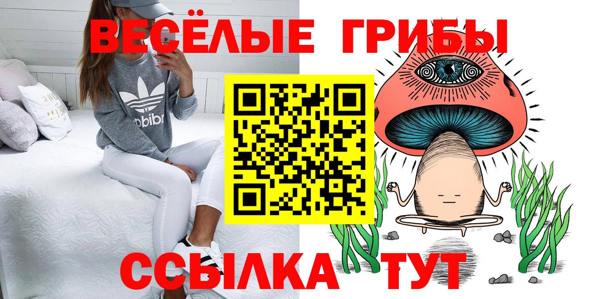 Новоалександровск  Псилоцибиновые грибы Psilocybine cubensis  что такое наркотик  Псилоцибиновые грибы Cubensis  Вход с VPN 