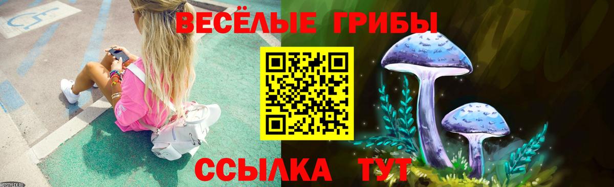 Новоалександровск  Вход с VPN  Конопля  Кокаин  Меф   ГАШ 