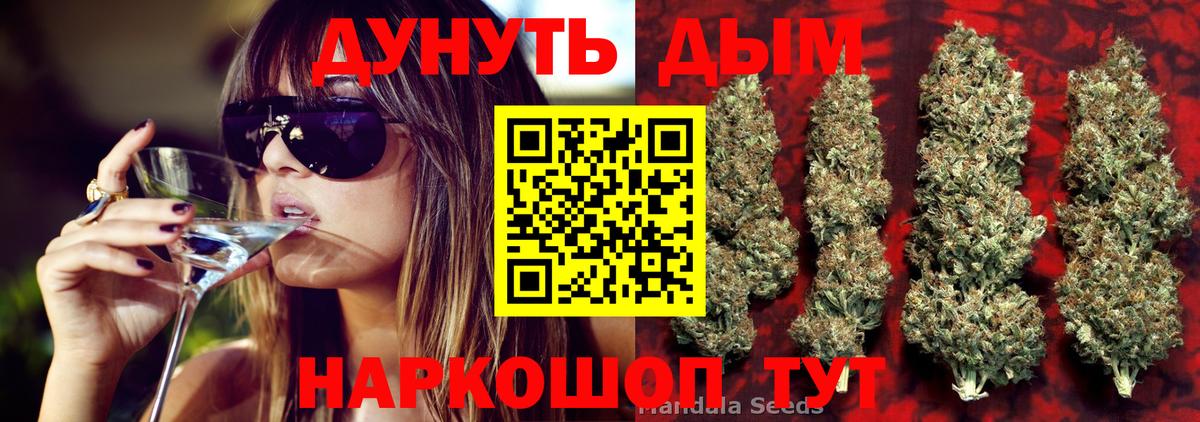 Марихуана гибрид  Шишки марихуана план  Новоалександровск  Вход с VPN 
